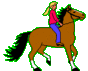 reiten