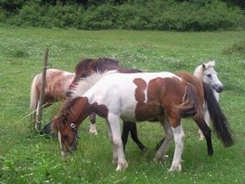 in_der_Gruppe_ist_es_so_schoen