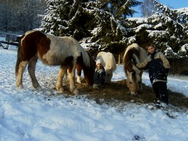 im_Schnee