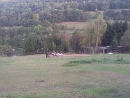 Blick_von_der_Weide